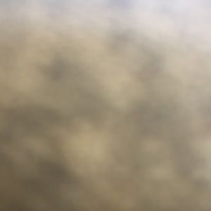 Meet your Posher, Donyai